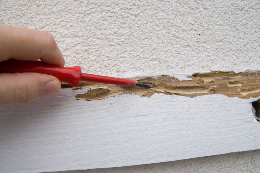 Termite Damage Repair by Ambrose Construction, LLC